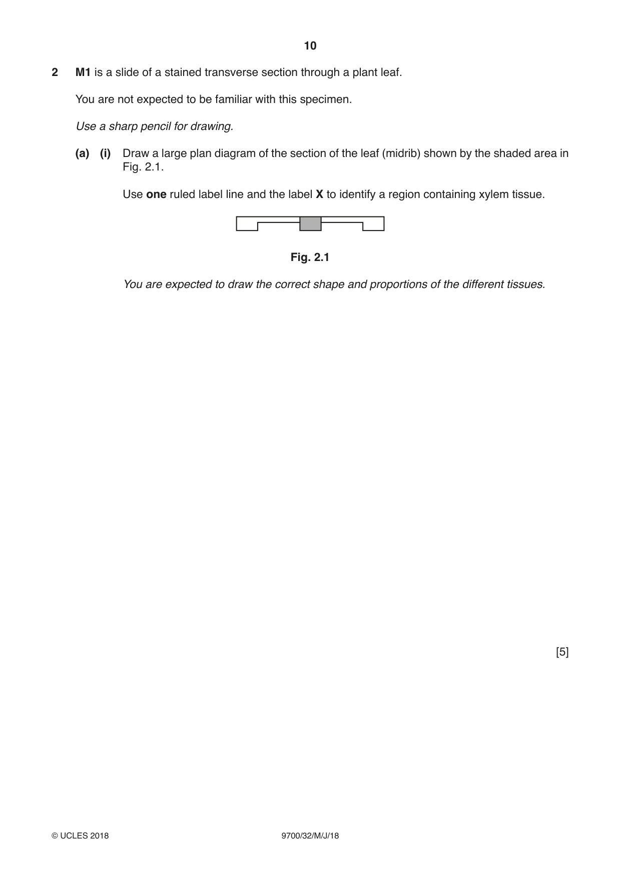 Cambridge A Level Biology 9700 2018 May/June Paper 3 · Variant 2 question paper, page 10 of 16