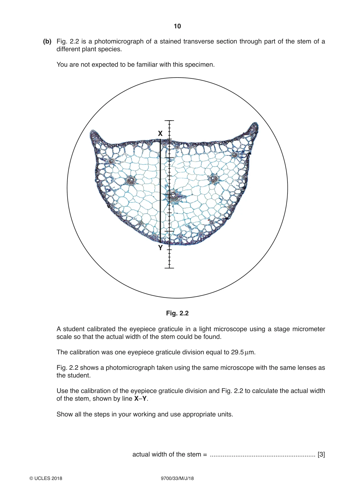 Cambridge A Level Biology 9700 2018 May/June Paper 3 · Variant 3 question paper, page 10 of 12