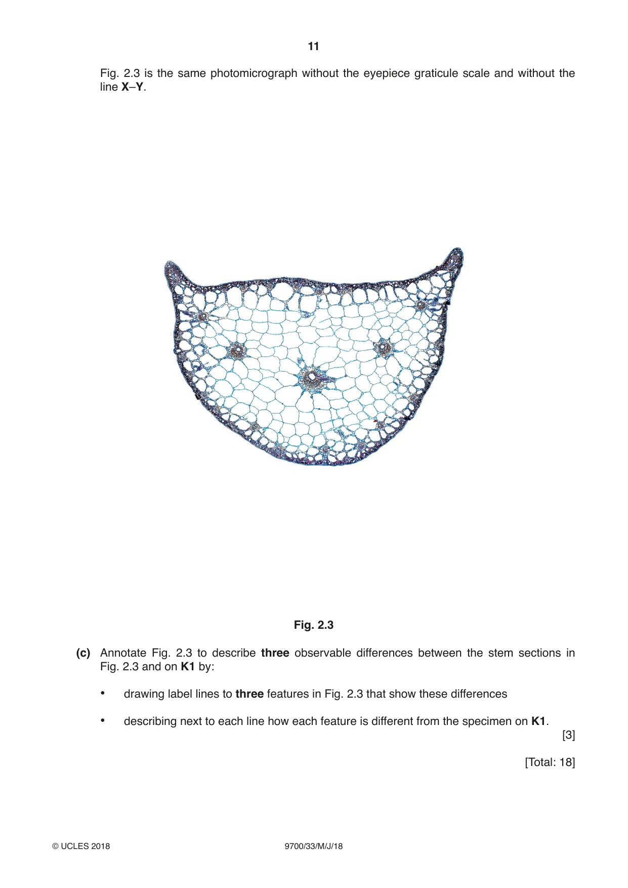 Cambridge A Level Biology 9700 2018 May/June Paper 3 · Variant 3 question paper, page 11 of 12