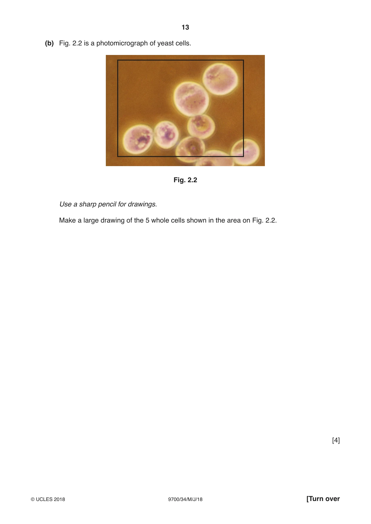 Cambridge A Level Biology 9700 2018 May/June Paper 3 · Variant 4 question paper, page 13 of 16