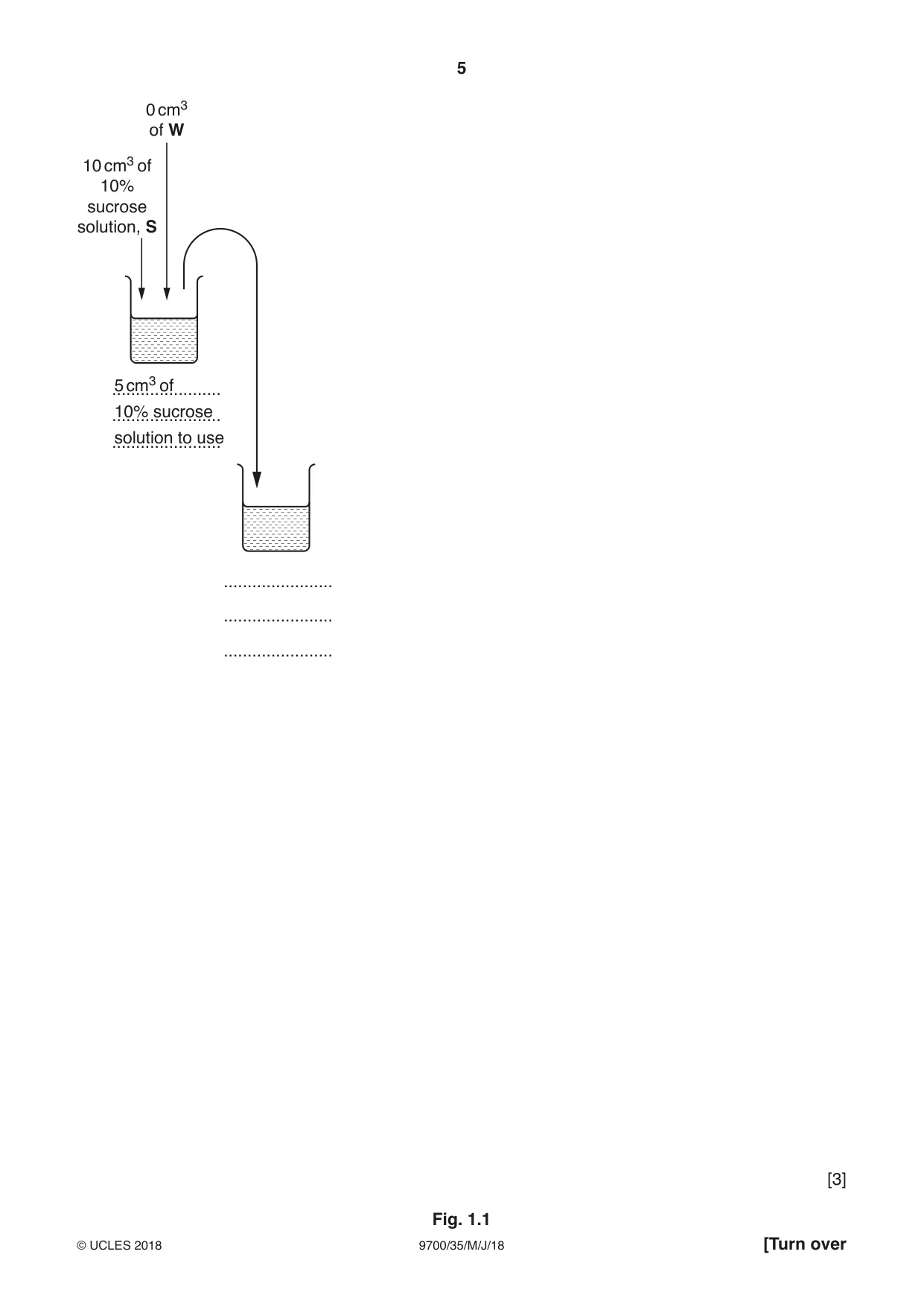 Cambridge A Level Biology 9700 2018 May/June Paper 3 · Variant 5 question paper, page 5 of 16