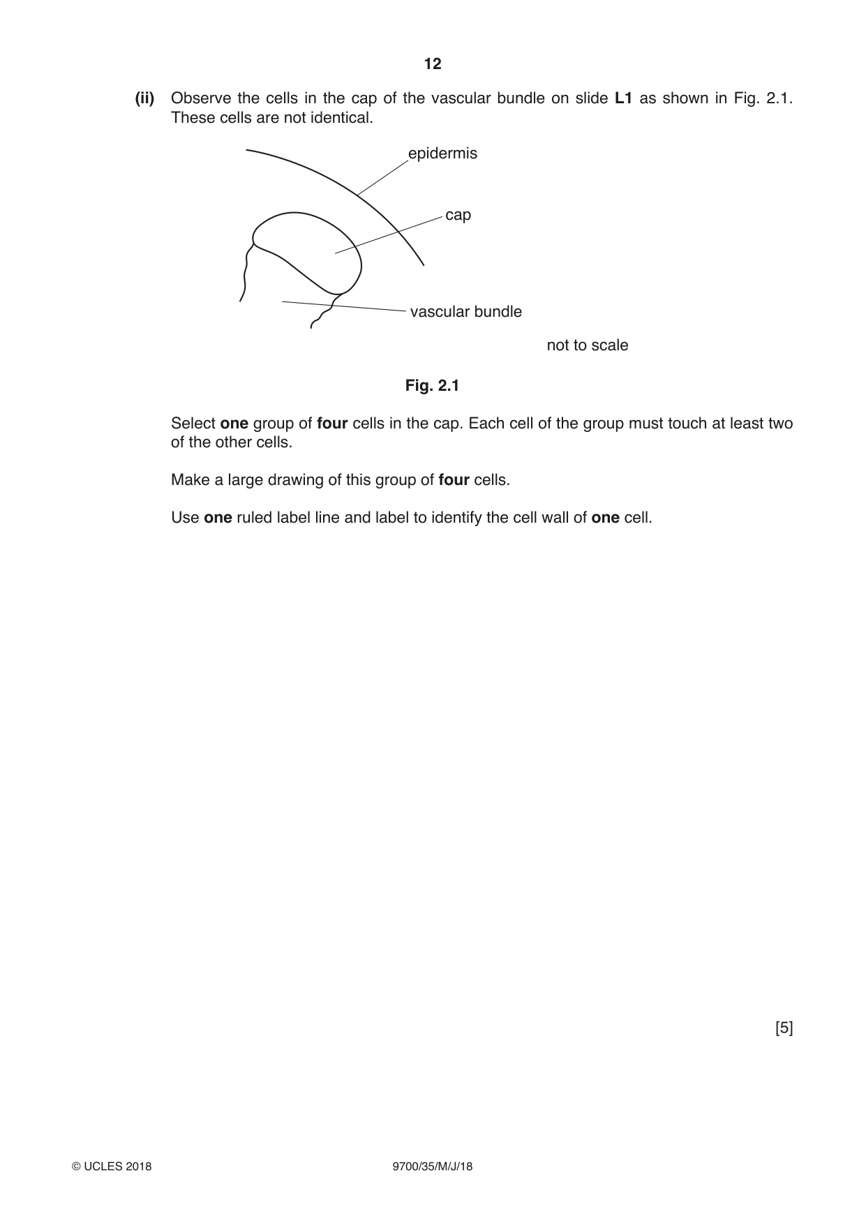 Cambridge A Level Biology 9700 2018 May/June Paper 3 · Variant 5 question paper, page 12 of 16