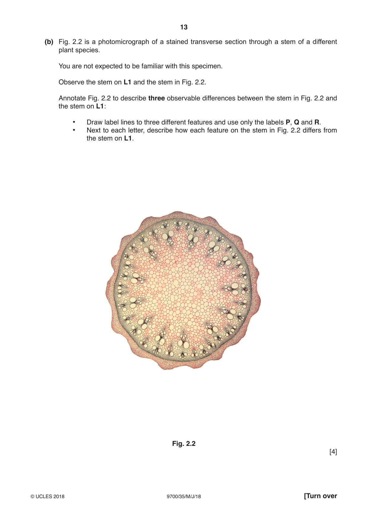 Cambridge A Level Biology 9700 2018 May/June Paper 3 · Variant 5 question paper, page 13 of 16