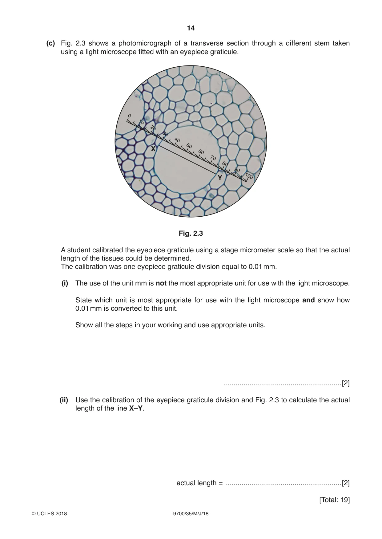 Cambridge A Level Biology 9700 2018 May/June Paper 3 · Variant 5 question paper, page 14 of 16
