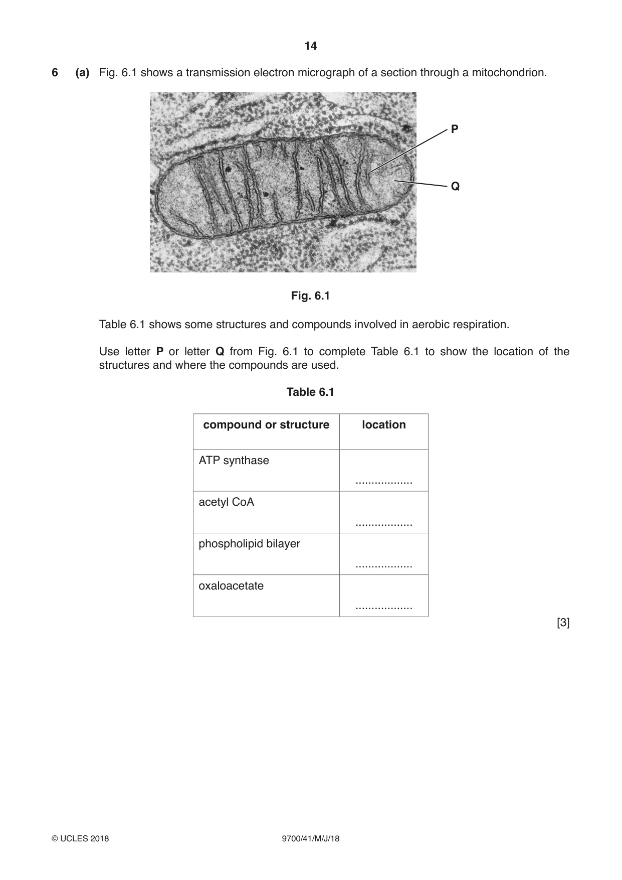 Cambridge A Level Biology 9700 2018 May/June Paper 4 · Variant 1 question paper, page 14 of 24