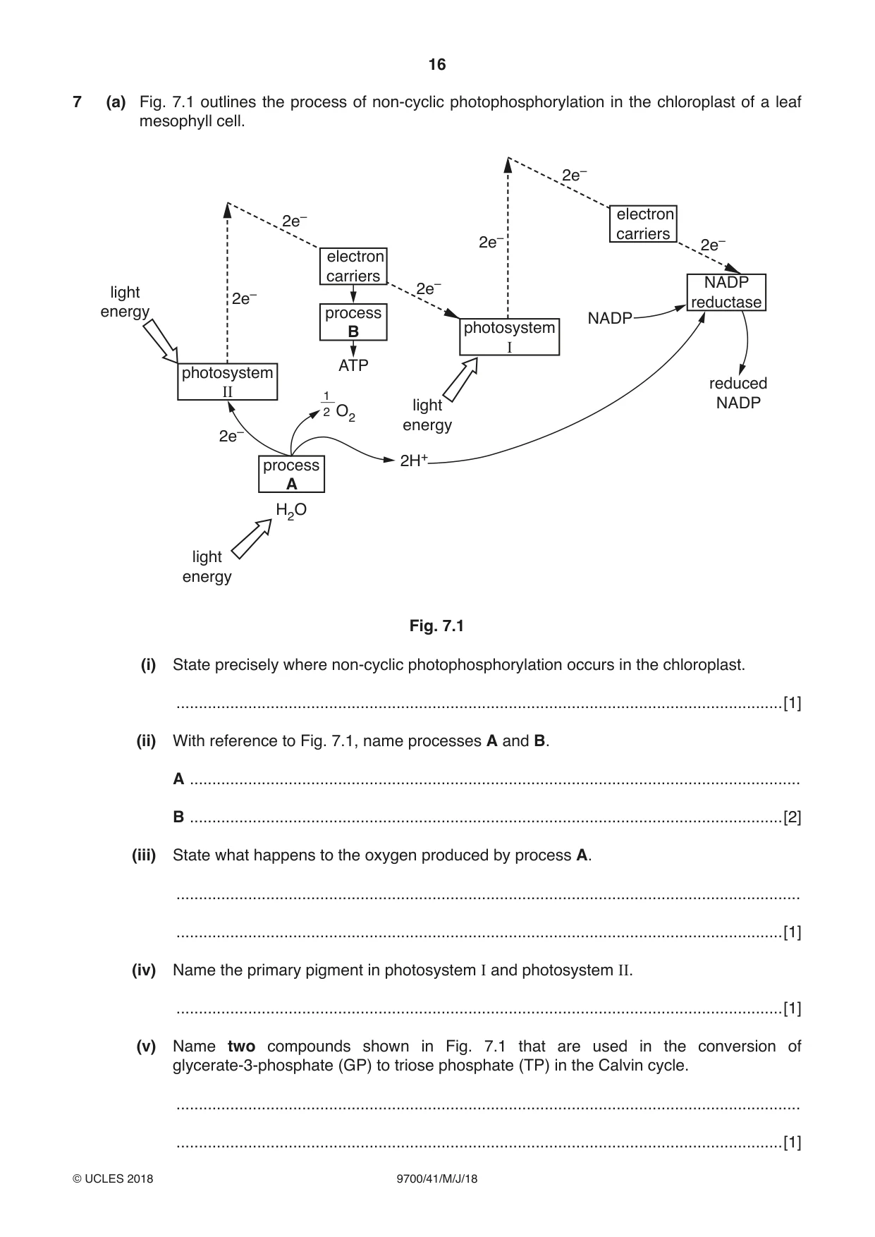Cambridge A Level Biology 9700 2018 May/June Paper 4 · Variant 1 question paper, page 16 of 24