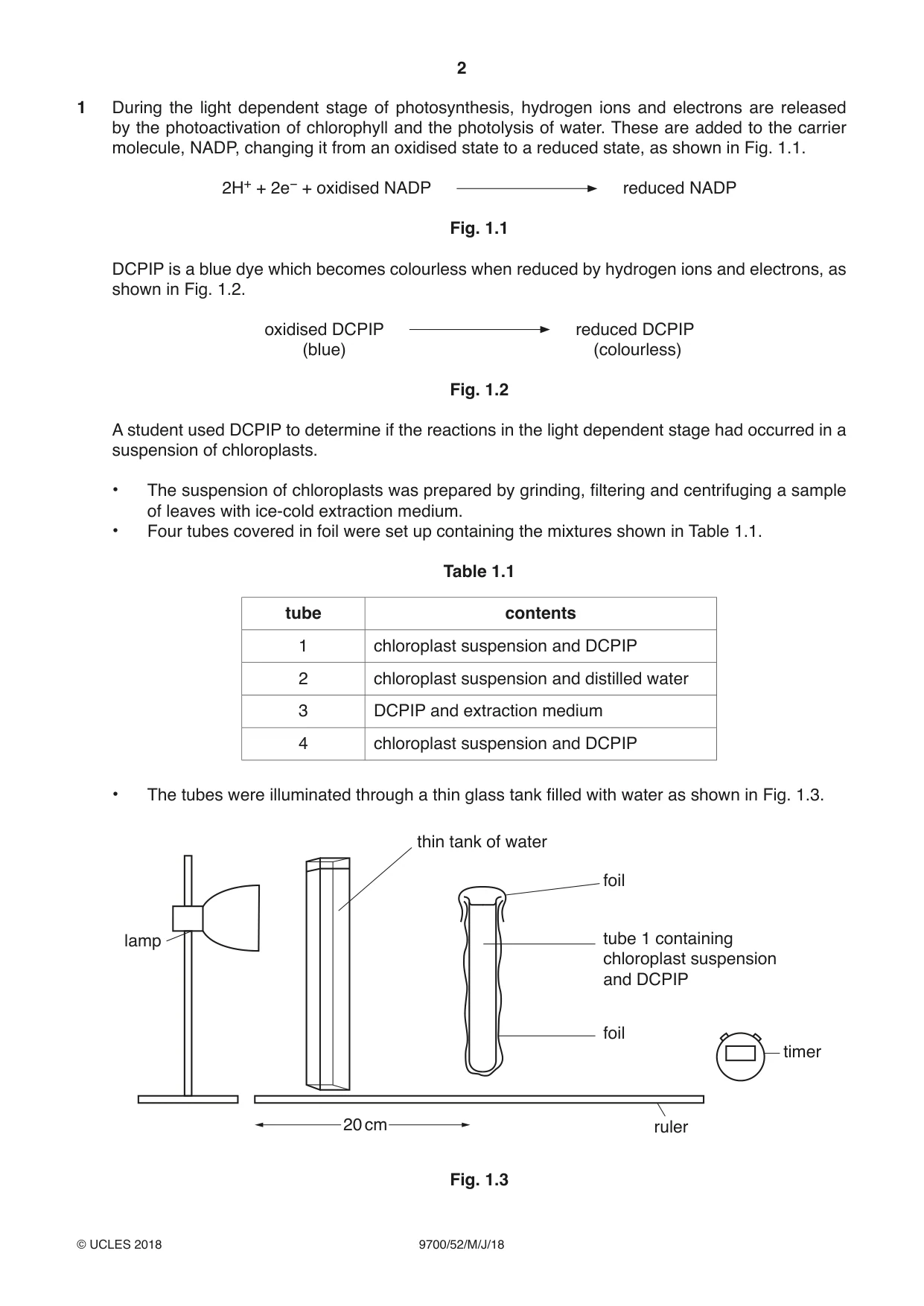 Cambridge A Level Biology 9700 2018 May/June Paper 5 · Variant 2 question paper, page 2 of 12