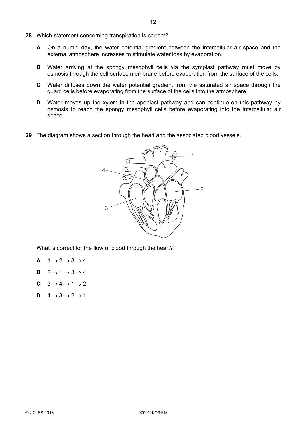 Cambridge A Level Biology 9700 2018 Oct/Nov Paper 1 · Variant 1 question paper, page 12 of 16