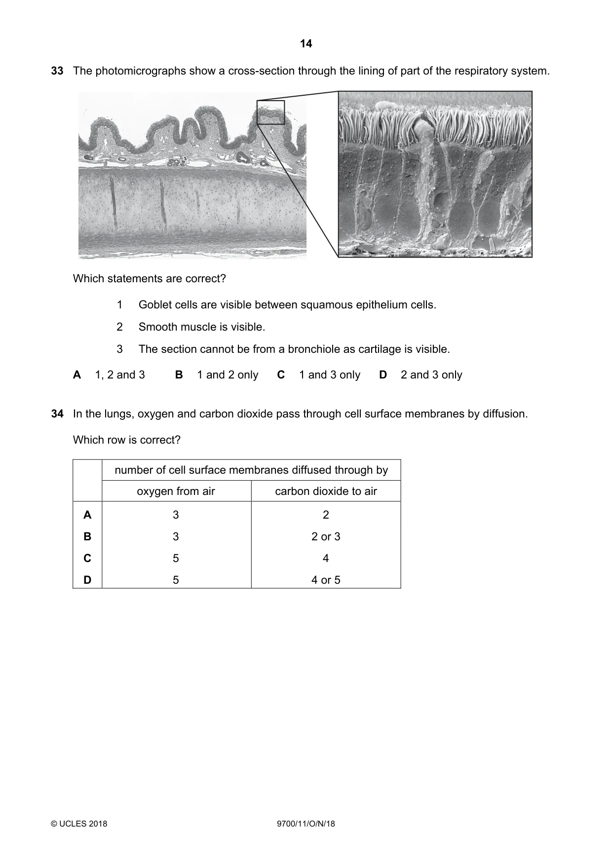 Cambridge A Level Biology 9700 2018 Oct/Nov Paper 1 · Variant 1 question paper, page 14 of 16