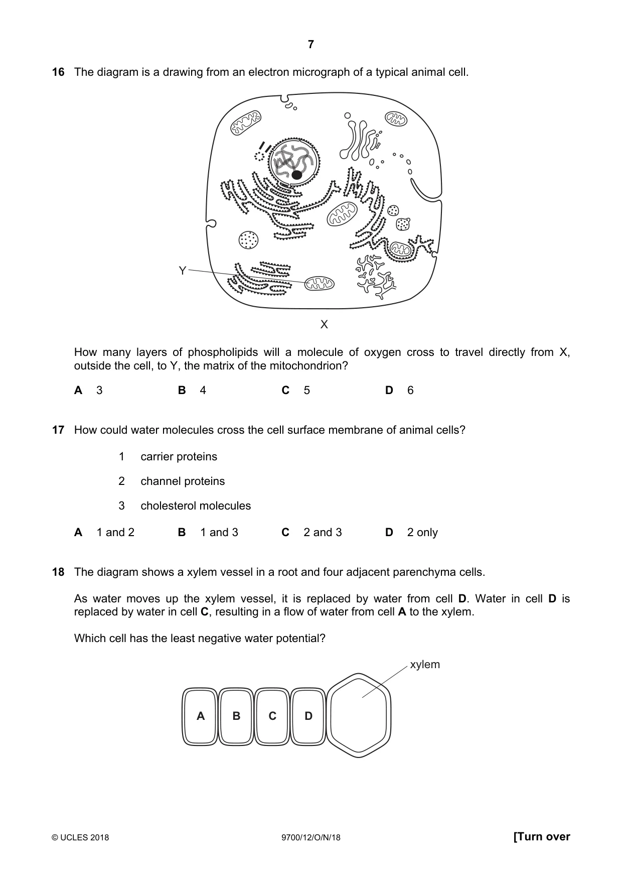 Cambridge A Level Biology 9700 2018 Oct/Nov Paper 1 · Variant 2 question paper, page 7 of 16