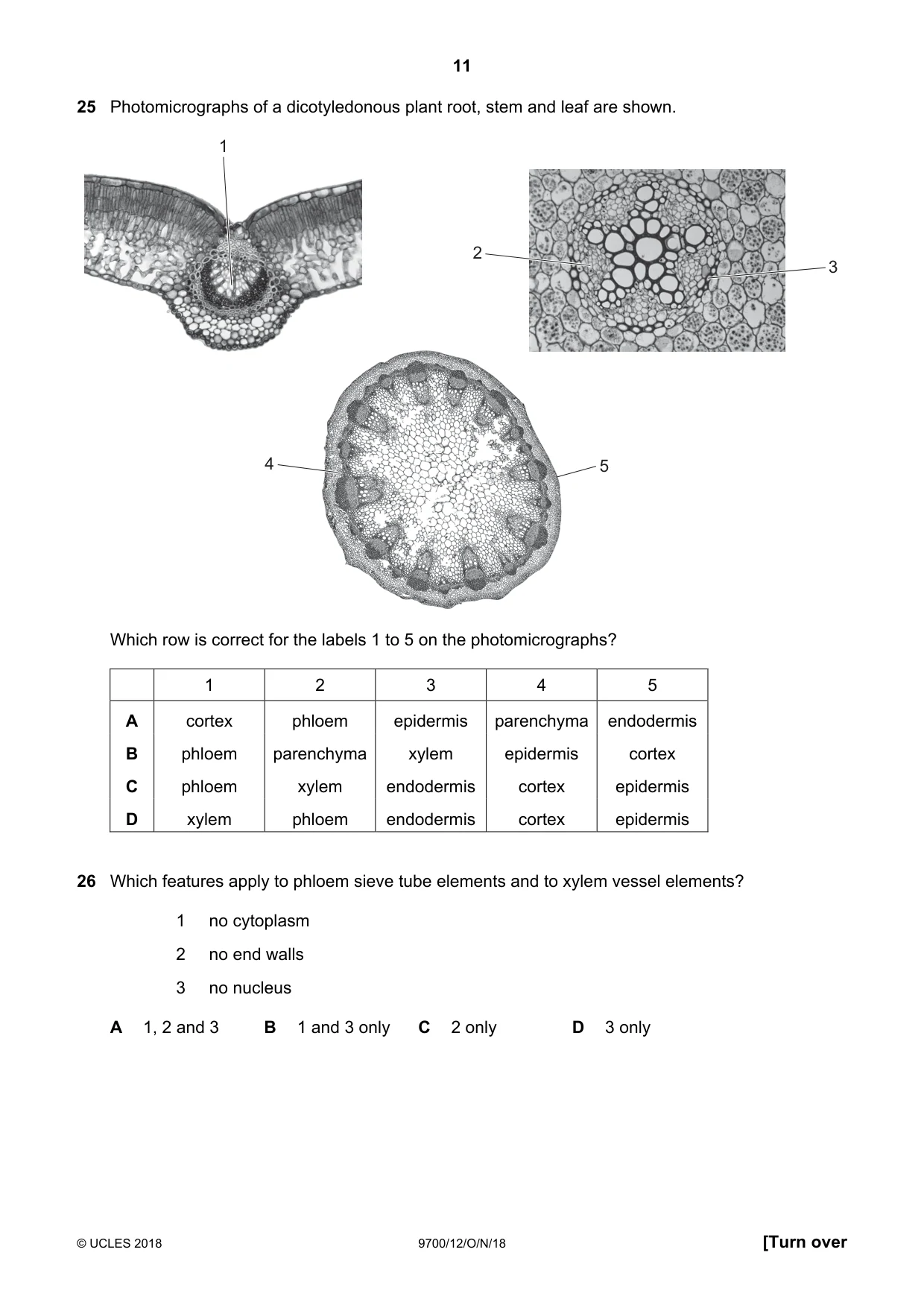 Cambridge A Level Biology 9700 2018 Oct/Nov Paper 1 · Variant 2 question paper, page 11 of 16
