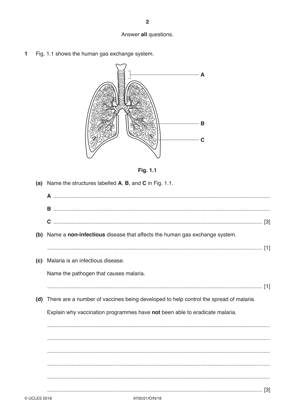 Cambridge A Level Biology 9700 2018 Oct/Nov Paper 2 · Variant 1 question paper, page 2 of 16