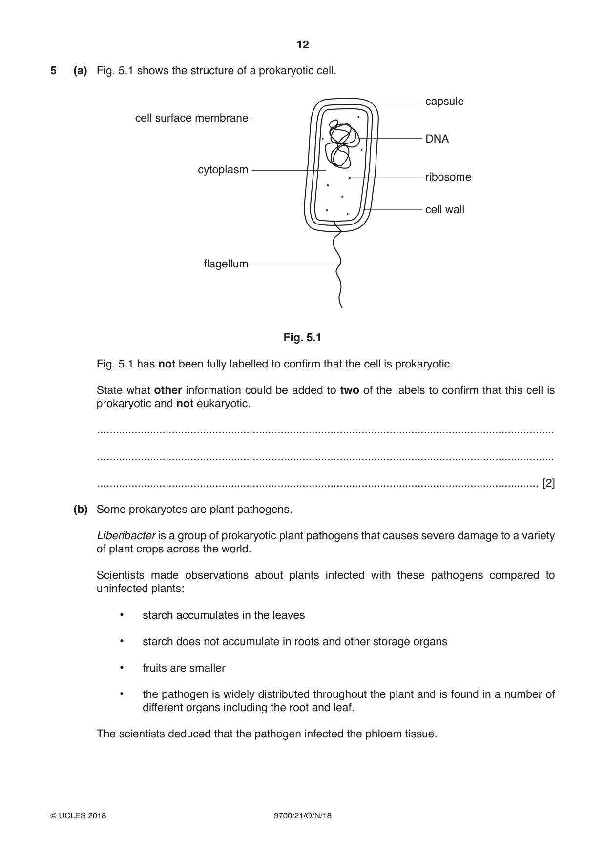 Cambridge A Level Biology 9700 2018 Oct/Nov Paper 2 · Variant 1 question paper, page 12 of 16