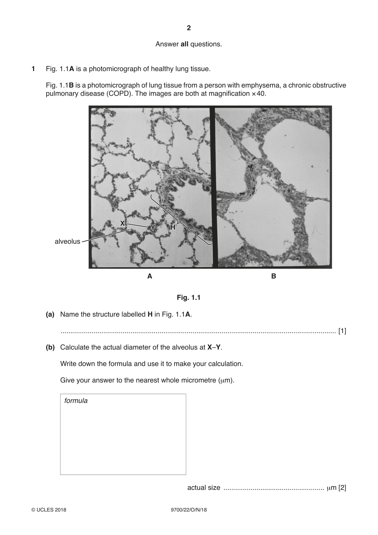 Cambridge A Level Biology 9700 2018 Oct/Nov Paper 2 · Variant 2 question paper, page 2 of 16