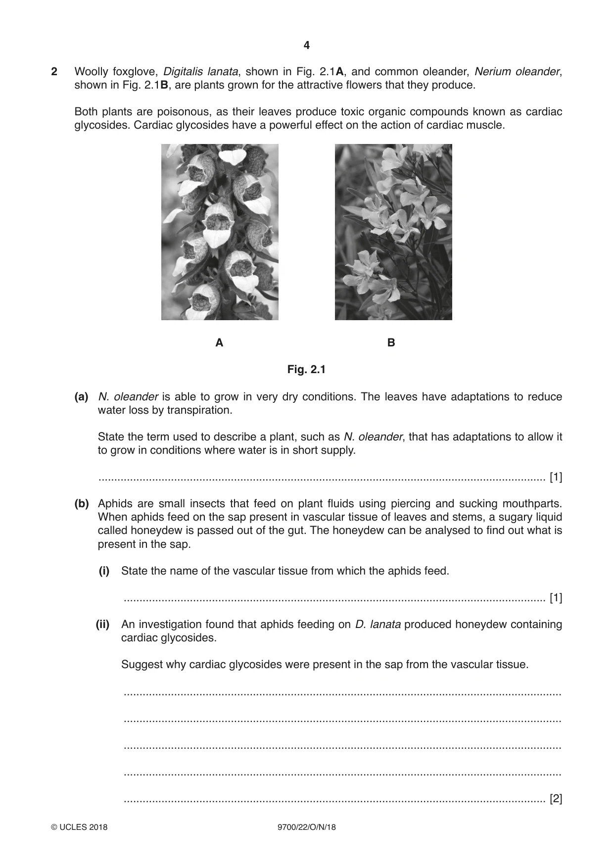Cambridge A Level Biology 9700 2018 Oct/Nov Paper 2 · Variant 2 question paper, page 4 of 16