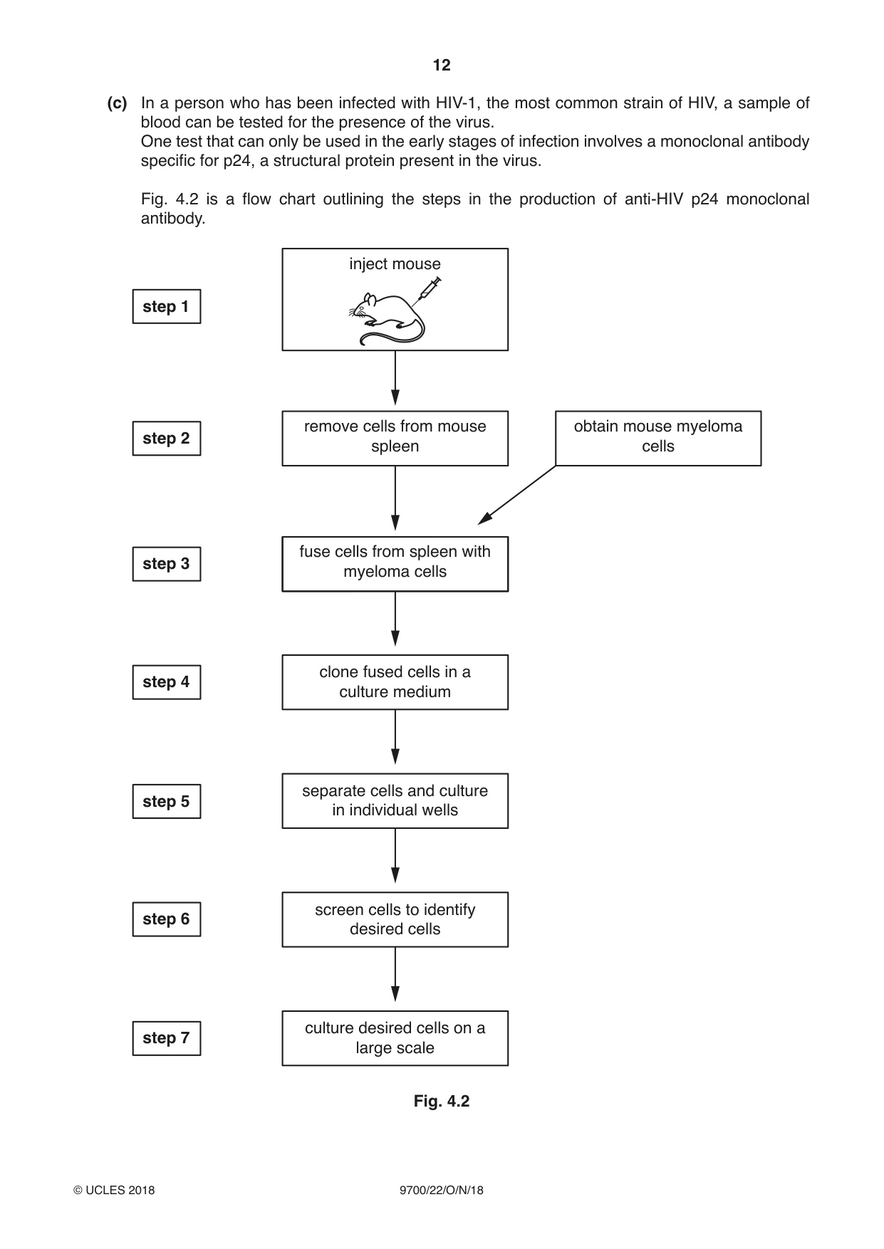 Cambridge A Level Biology 9700 2018 Oct/Nov Paper 2 · Variant 2 question paper, page 12 of 16