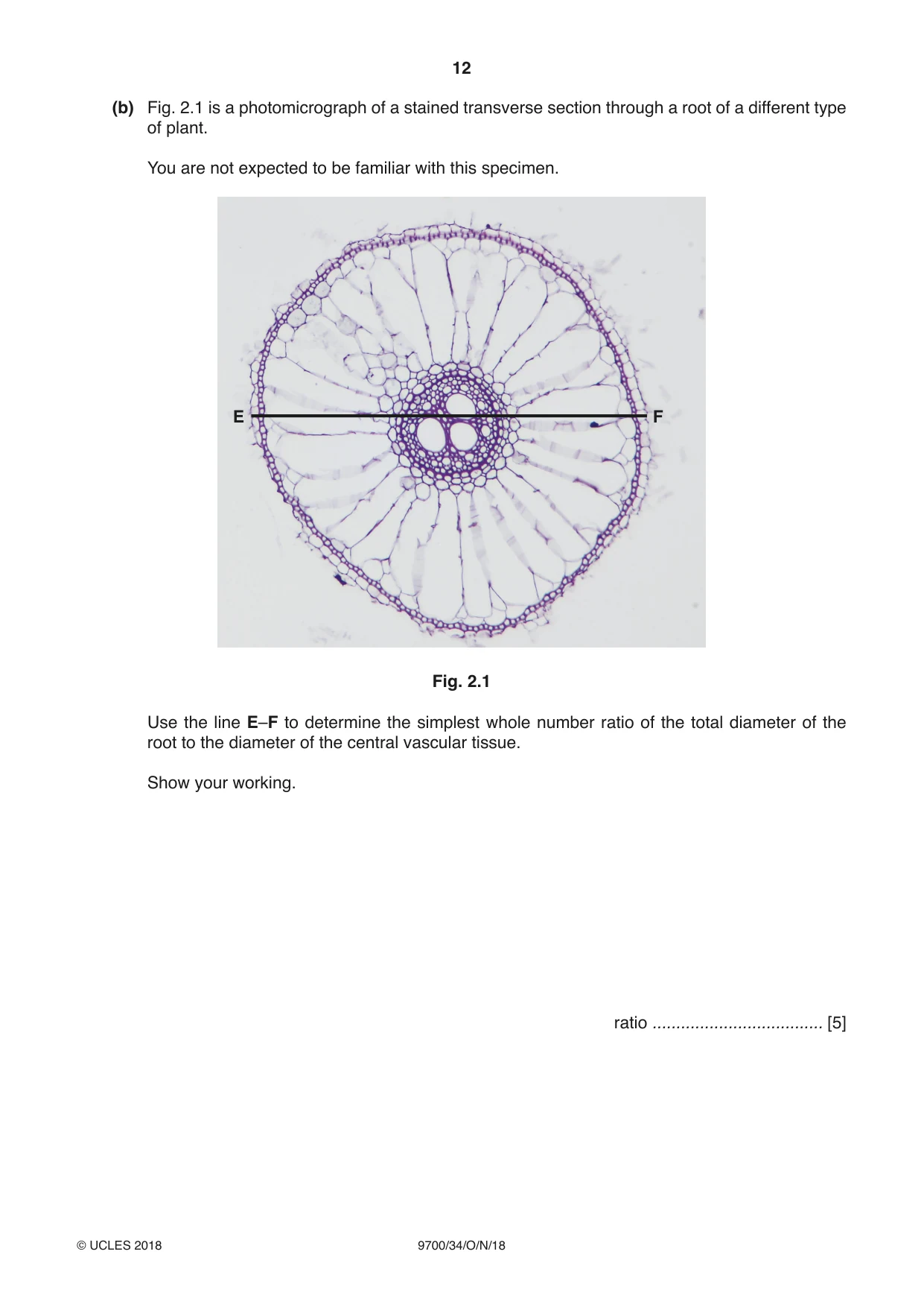 Cambridge A Level Biology 9700 2018 Oct/Nov Paper 3 · Variant 4 question paper, page 12 of 16