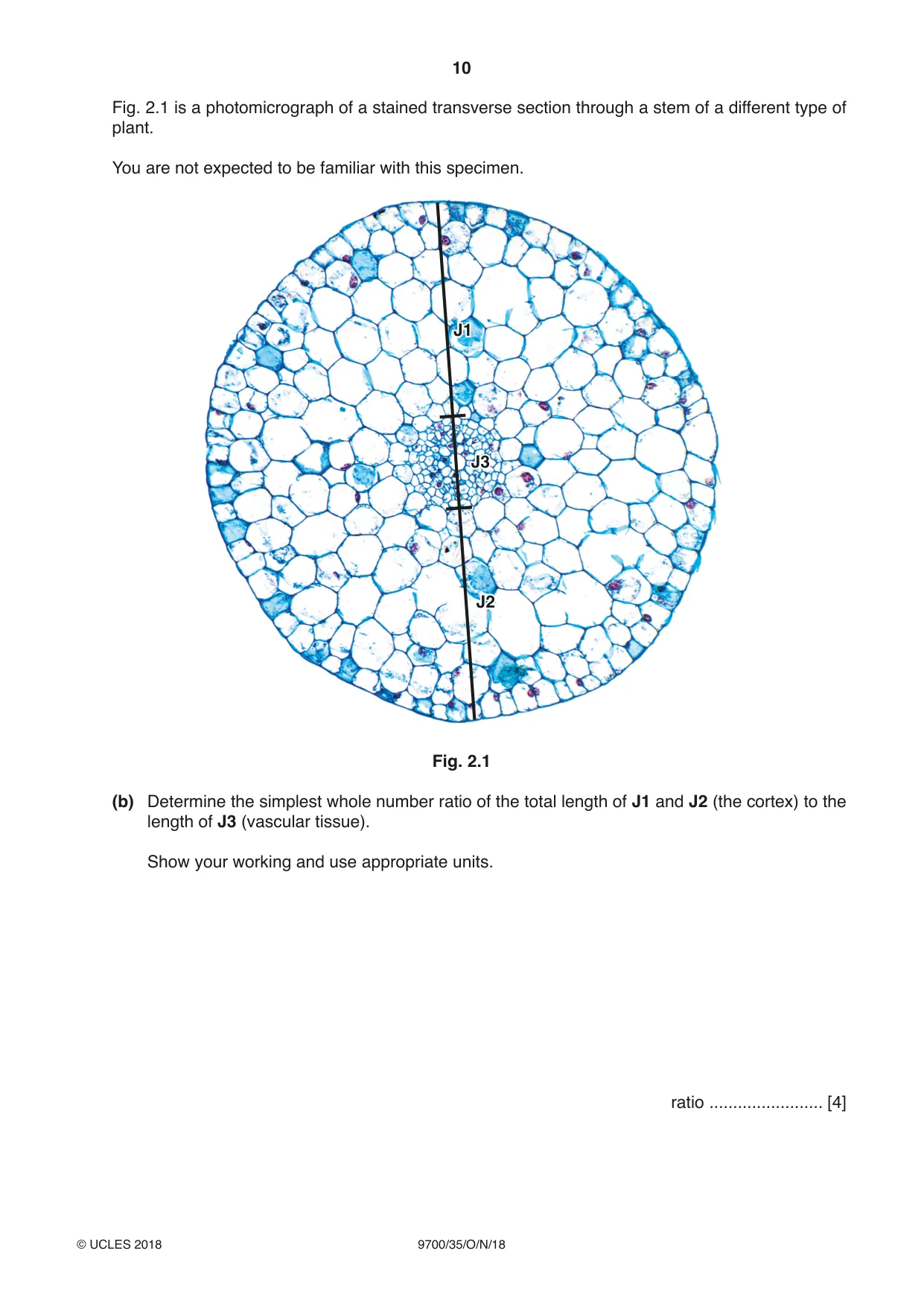 Cambridge A Level Biology 9700 2018 Oct/Nov Paper 3 · Variant 5 question paper, page 10 of 12