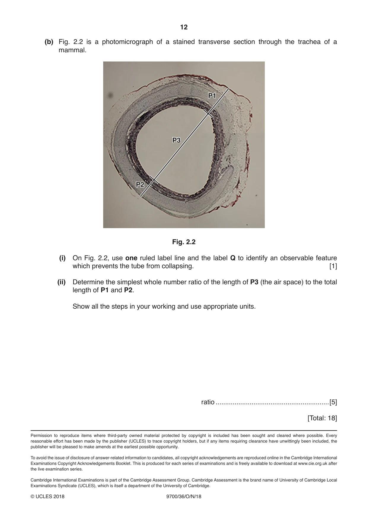 Cambridge A Level Biology 9700 2018 Oct/Nov Paper 3 · Variant 6 question paper, page 12 of 12