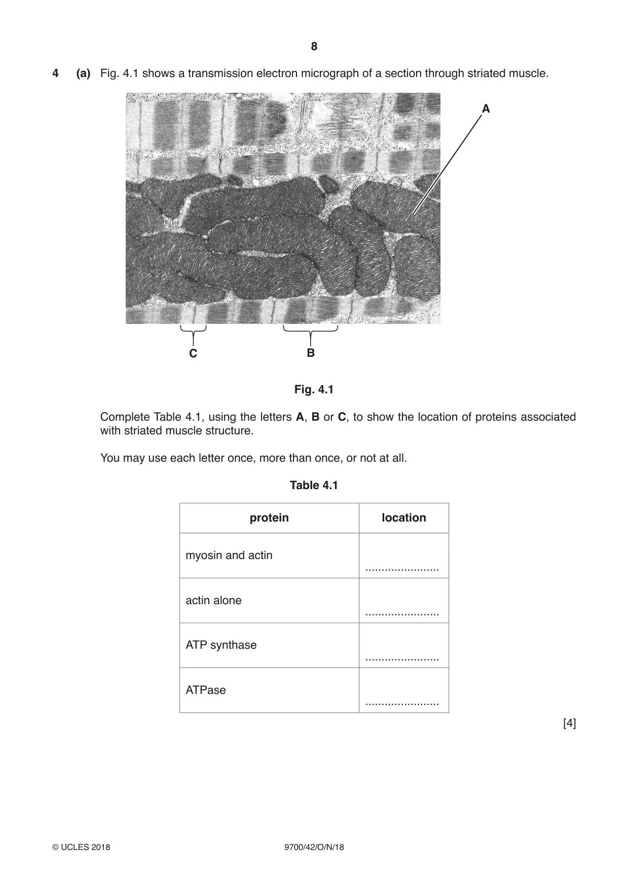 Cambridge A Level Biology 9700 2018 Oct/Nov Paper 4 · Variant 2 question paper, page 8 of 24