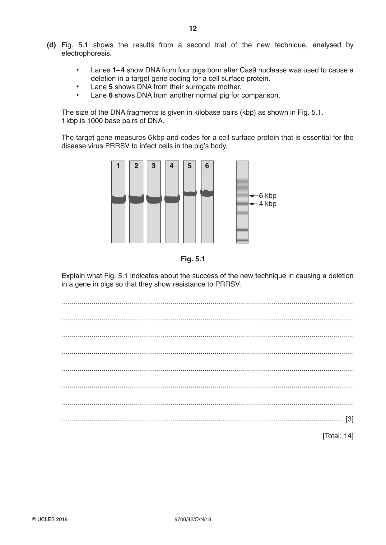Cambridge A Level Biology 9700 2018 Oct/Nov Paper 4 · Variant 2 question paper, page 12 of 24
