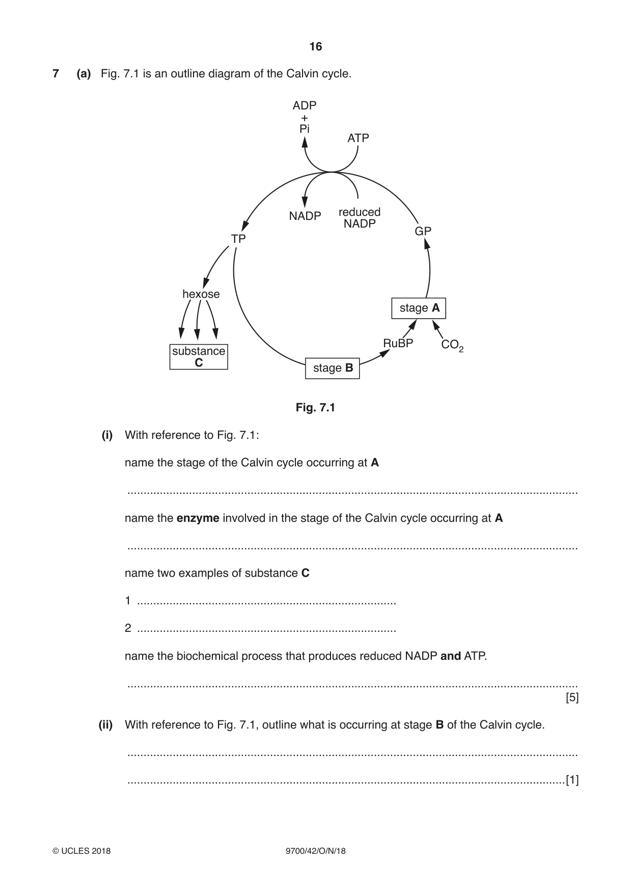Cambridge A Level Biology 9700 2018 Oct/Nov Paper 4 · Variant 2 question paper, page 16 of 24