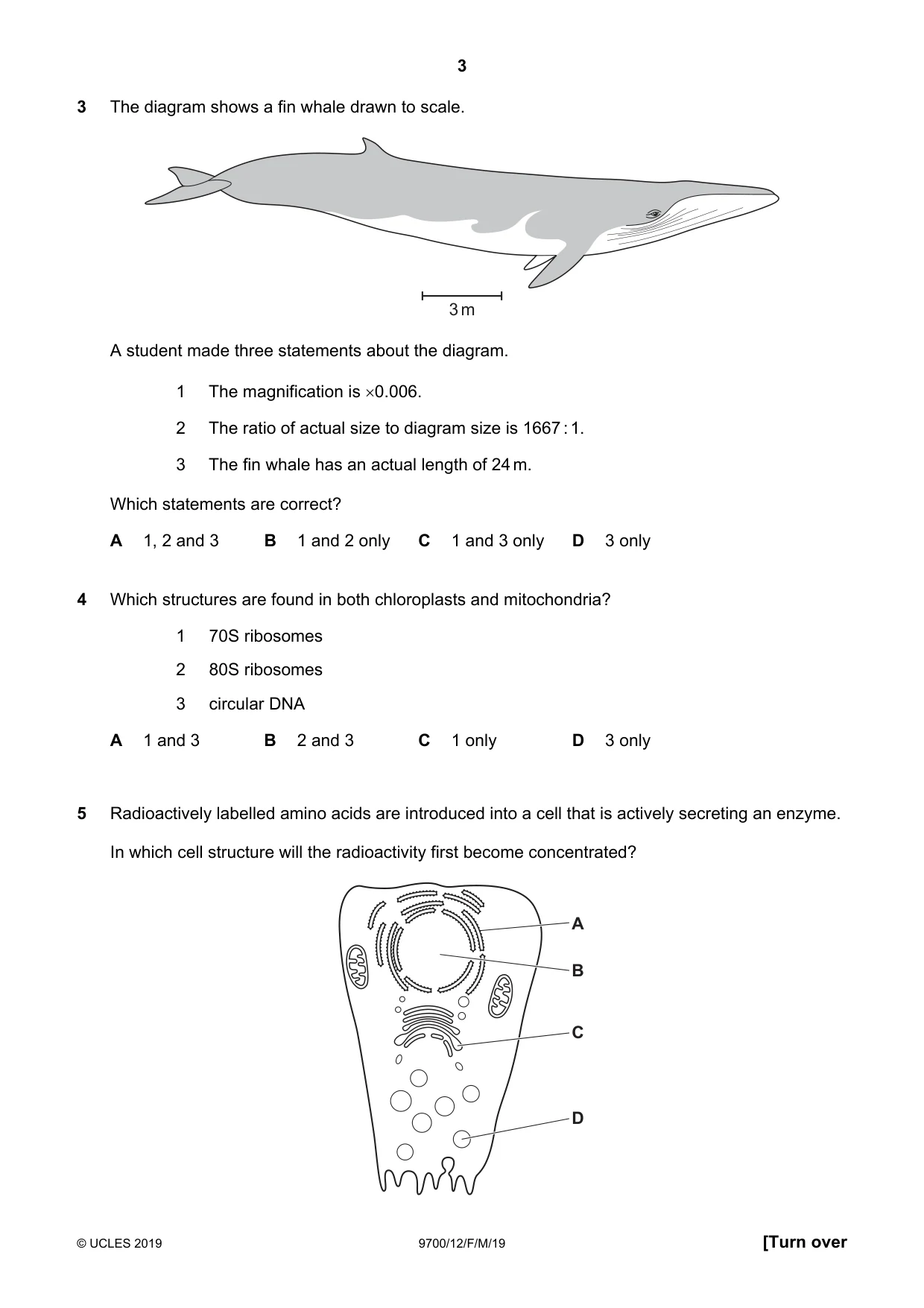 Cambridge A Level Biology 9700 2019 Feb/March Paper 1 · Variant 2 question paper, page 3 of 16
