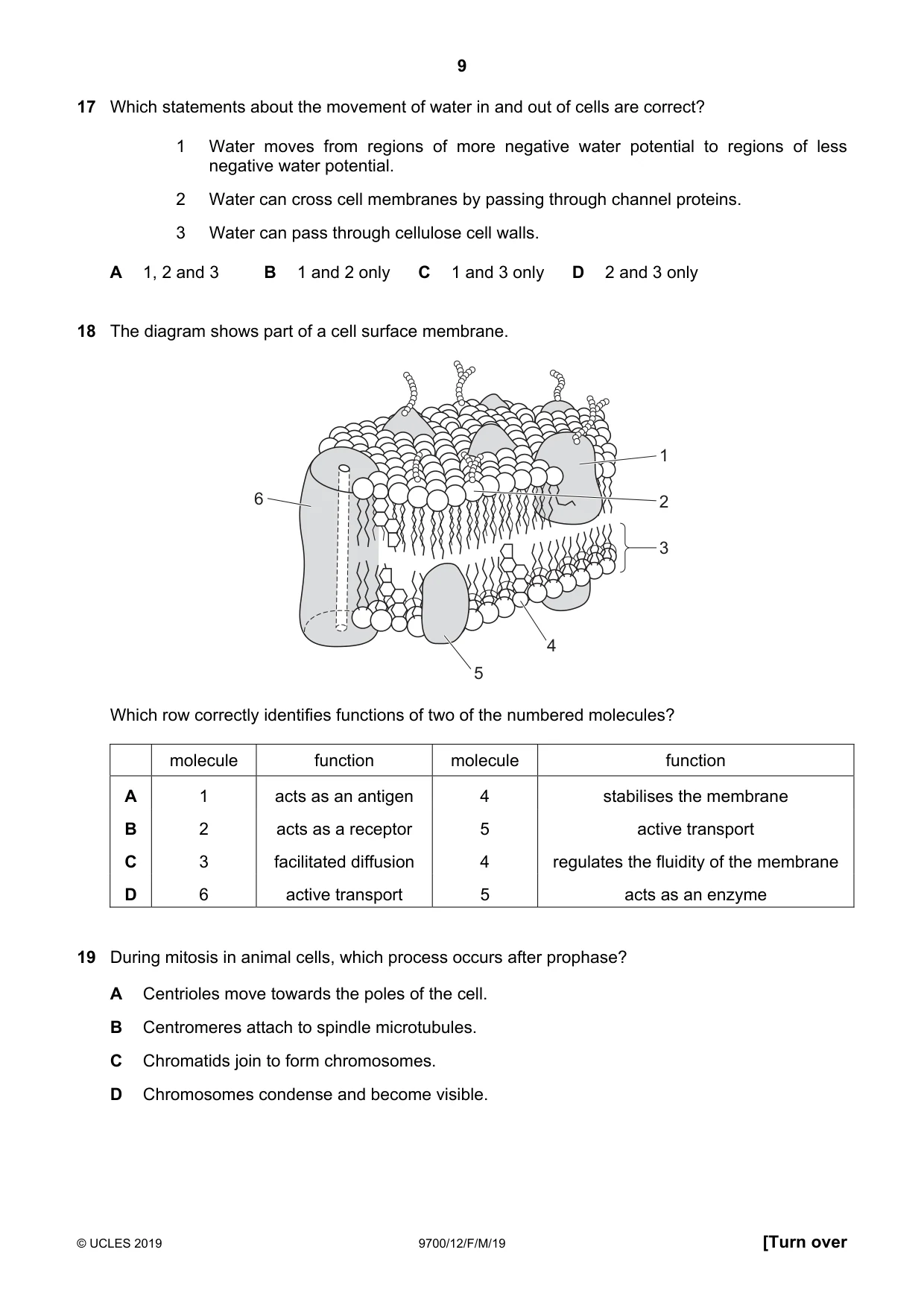 Cambridge A Level Biology 9700 2019 Feb/March Paper 1 · Variant 2 question paper, page 9 of 16