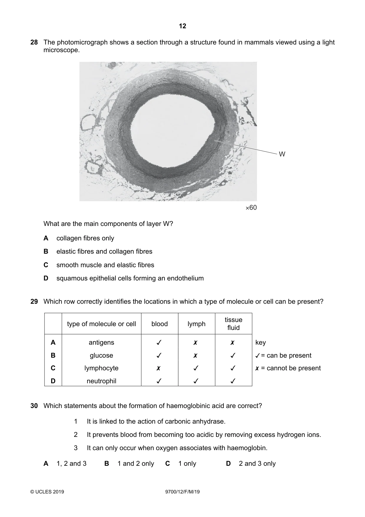Cambridge A Level Biology 9700 2019 Feb/March Paper 1 · Variant 2 question paper, page 12 of 16