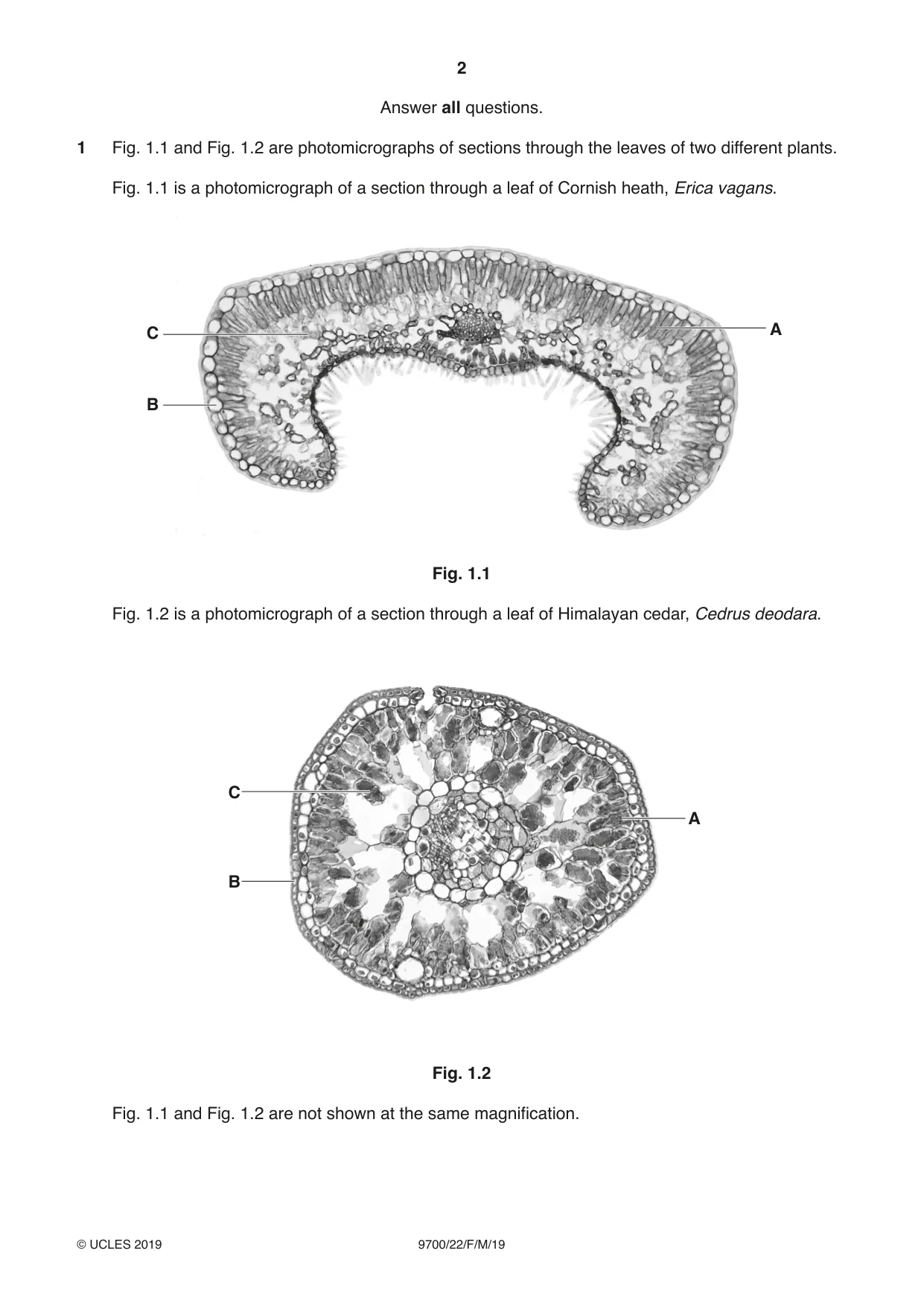 Cambridge A Level Biology 9700 2019 Feb/March Paper 2 · Variant 2 question paper, page 2 of 16