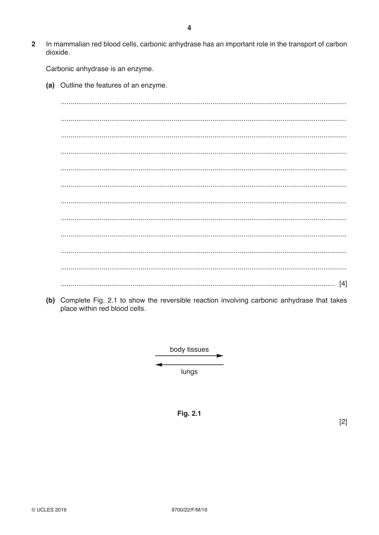 Cambridge A Level Biology 9700 2019 Feb/March Paper 2 · Variant 2 question paper, page 4 of 16