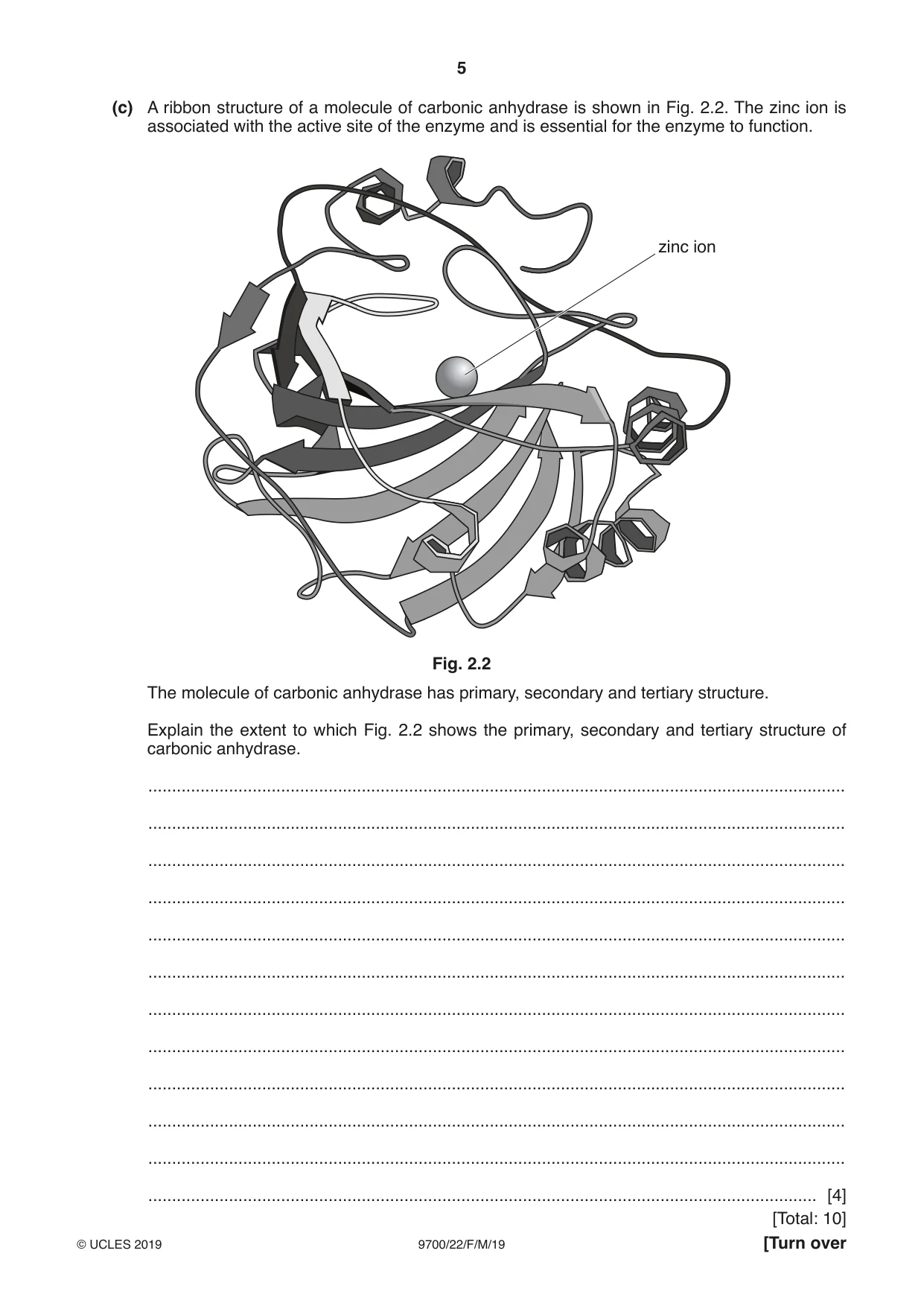 Cambridge A Level Biology 9700 2019 Feb/March Paper 2 · Variant 2 question paper, page 5 of 16