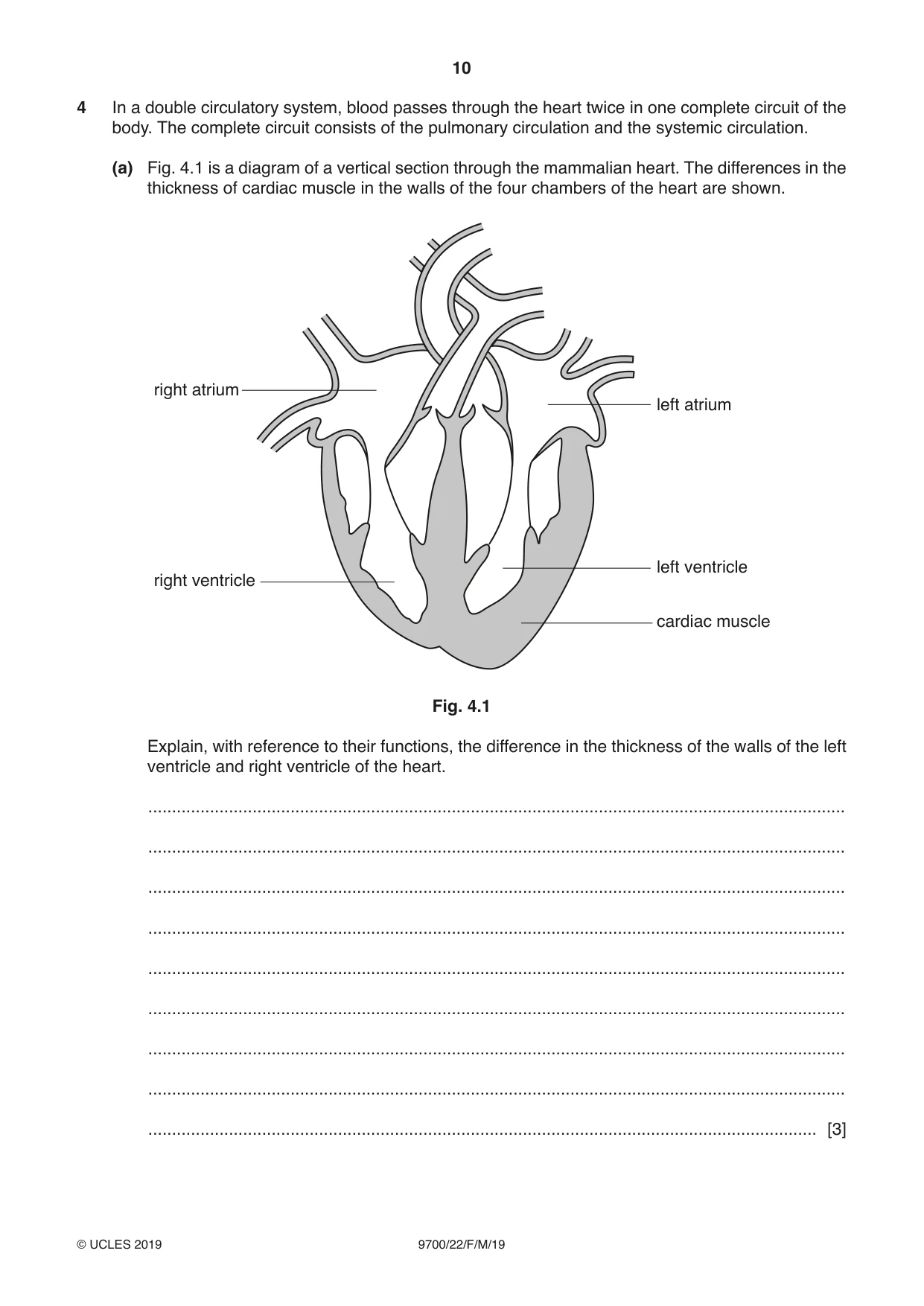 Cambridge A Level Biology 9700 2019 Feb/March Paper 2 · Variant 2 question paper, page 10 of 16