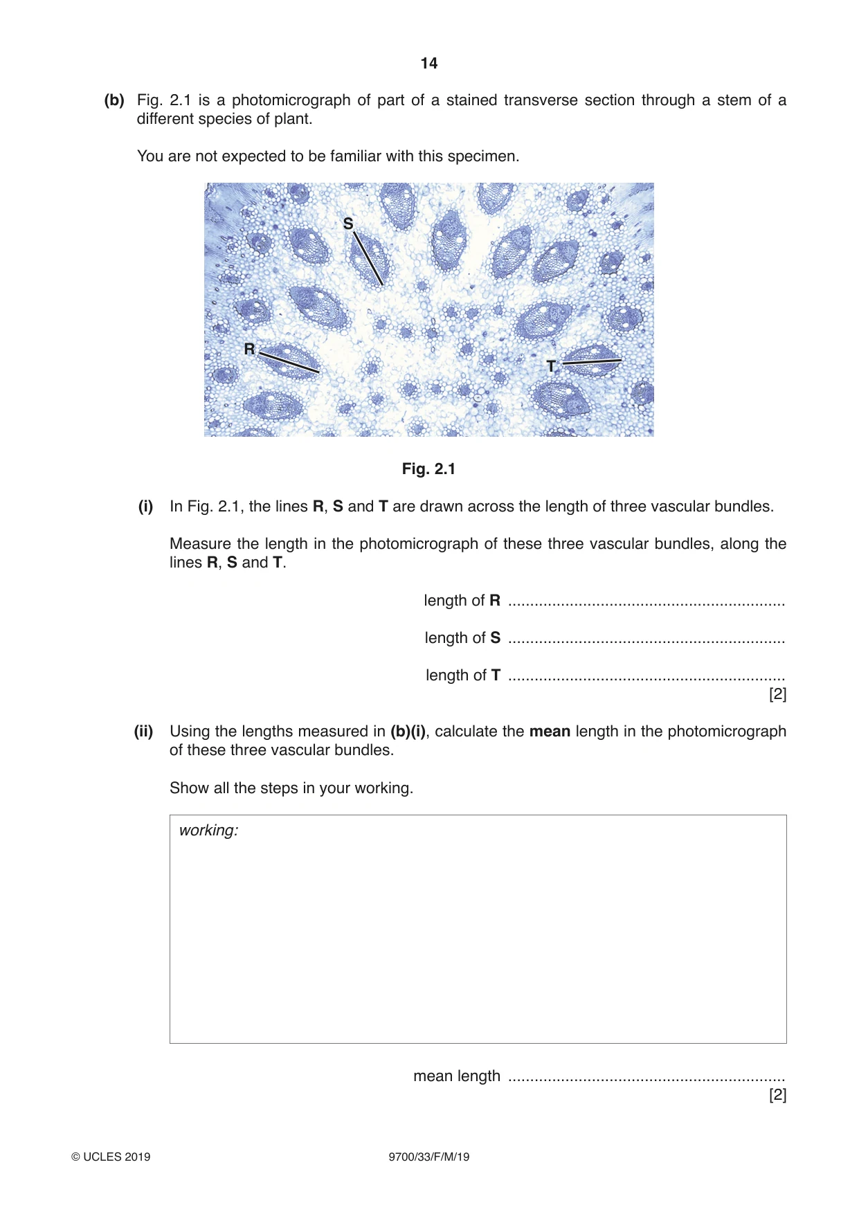 Cambridge A Level Biology 9700 2019 Feb/March Paper 3 · Variant 3 question paper, page 14 of 16