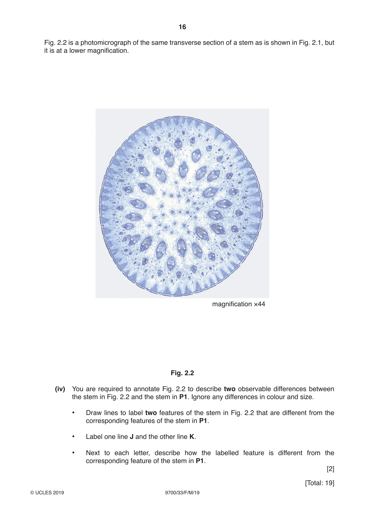 Cambridge A Level Biology 9700 2019 Feb/March Paper 3 · Variant 3 question paper, page 16 of 16