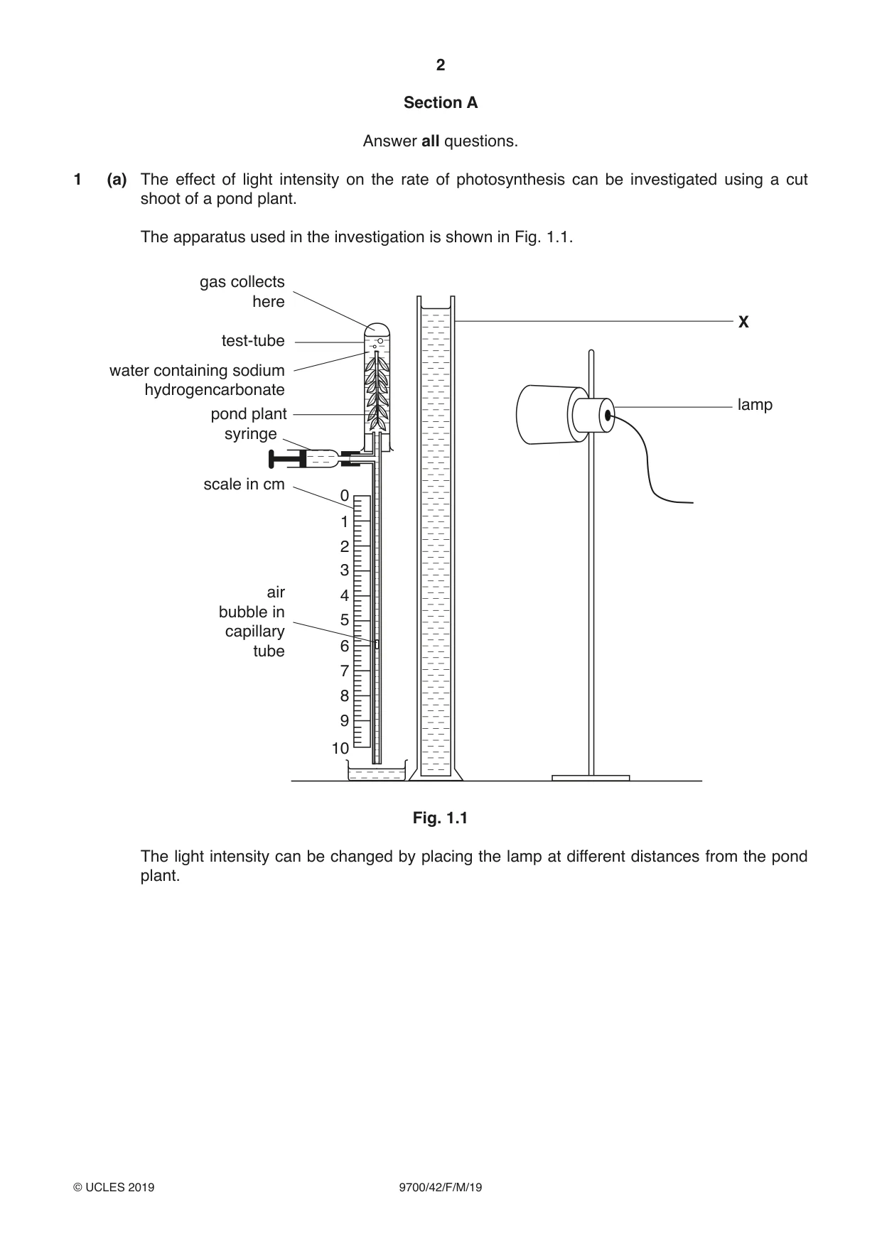 Cambridge A Level Biology 9700 2019 Feb/March Paper 4 · Variant 2 question paper, page 2 of 32