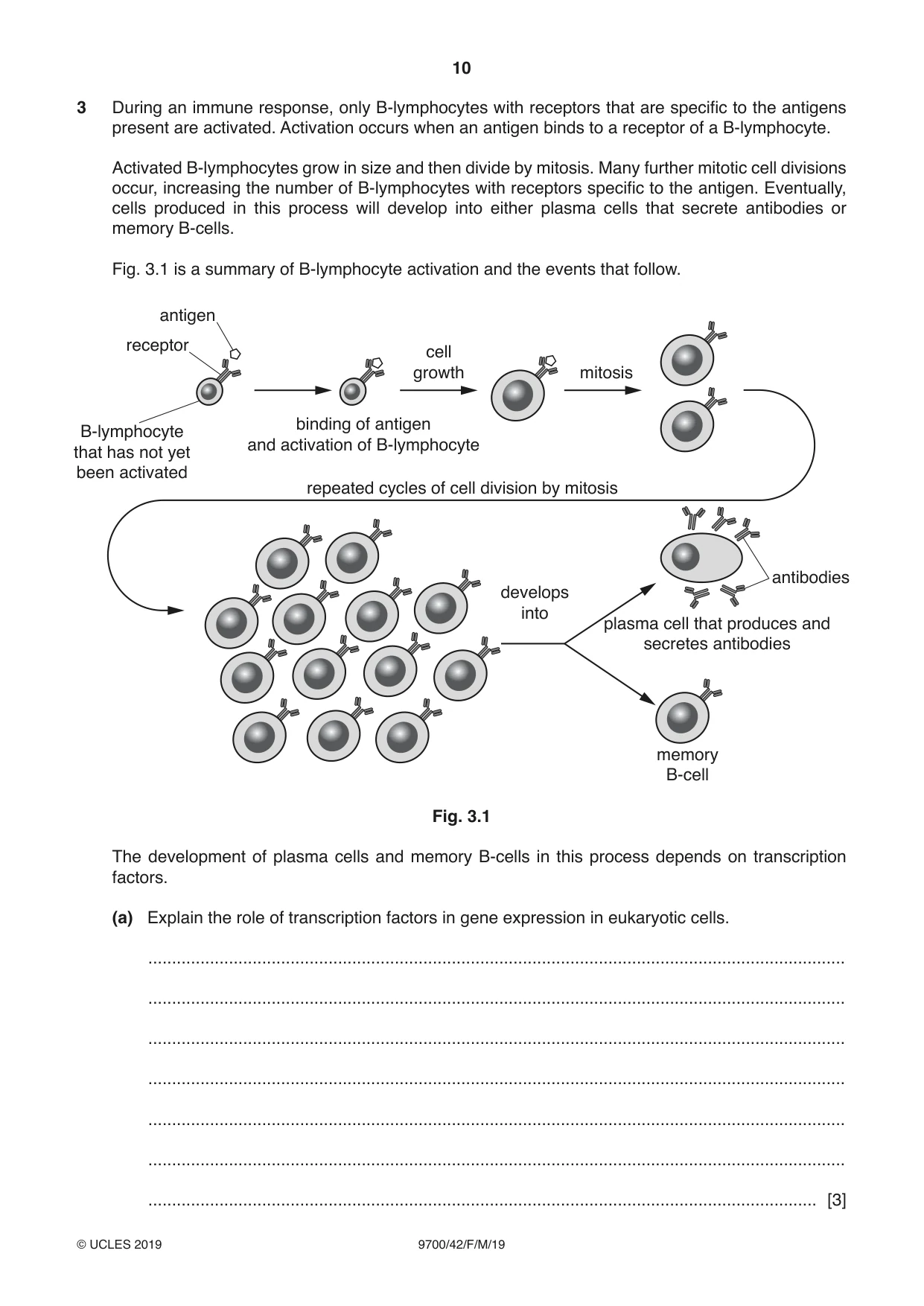 Cambridge A Level Biology 9700 2019 Feb/March Paper 4 · Variant 2 question paper, page 10 of 32