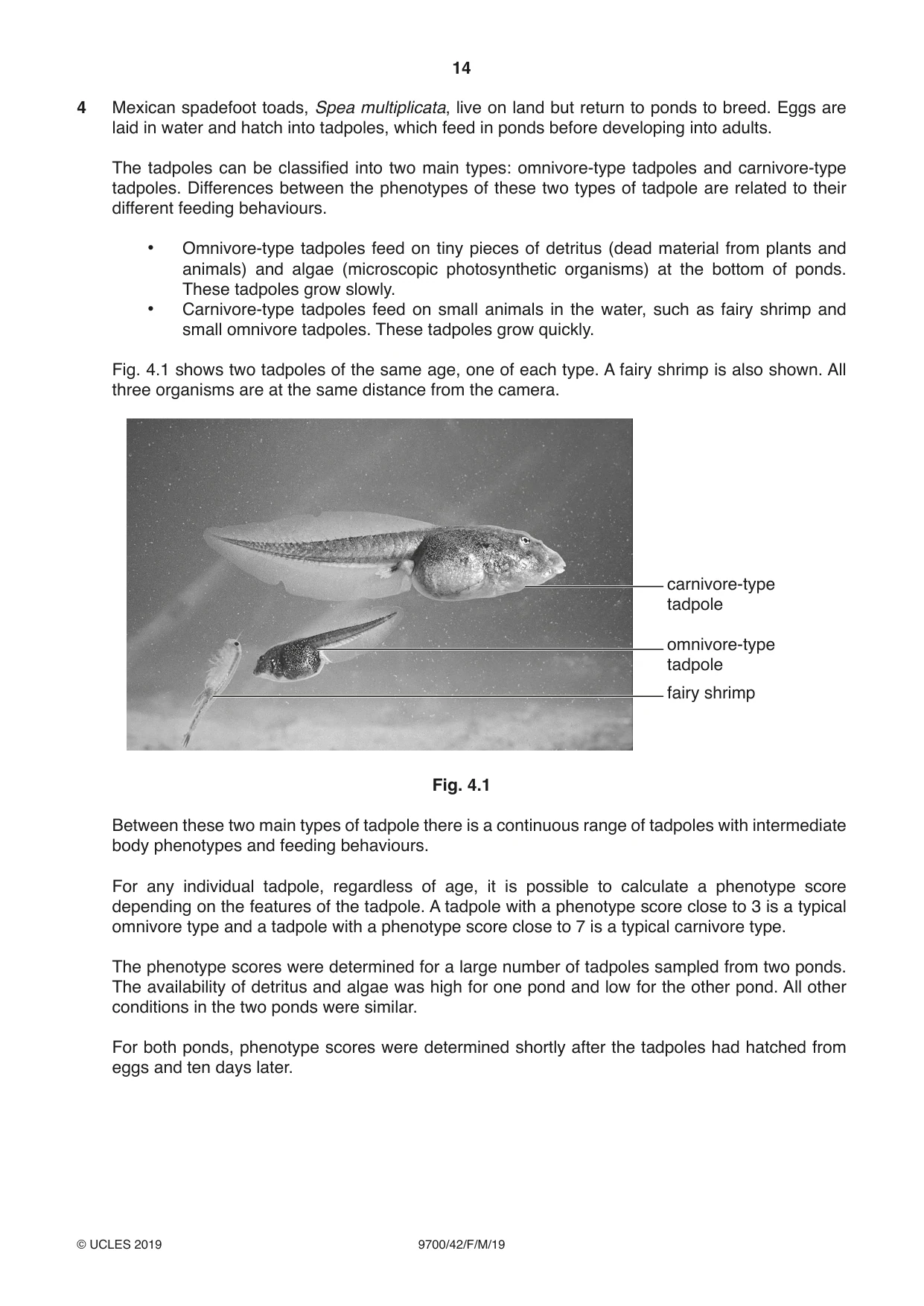 Cambridge A Level Biology 9700 2019 Feb/March Paper 4 · Variant 2 question paper, page 14 of 32