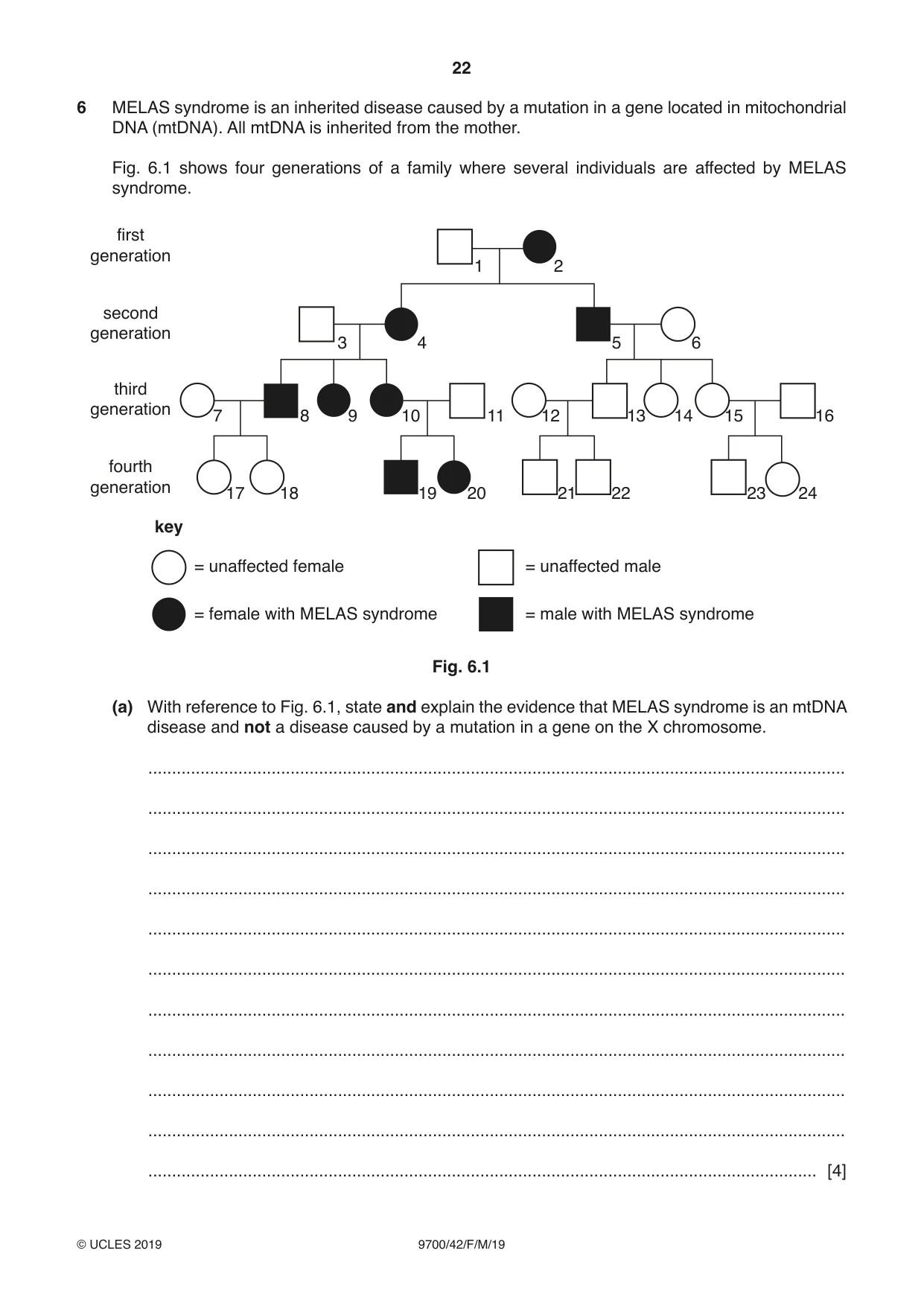 Cambridge A Level Biology 9700 2019 Feb/March Paper 4 · Variant 2 question paper, page 22 of 32