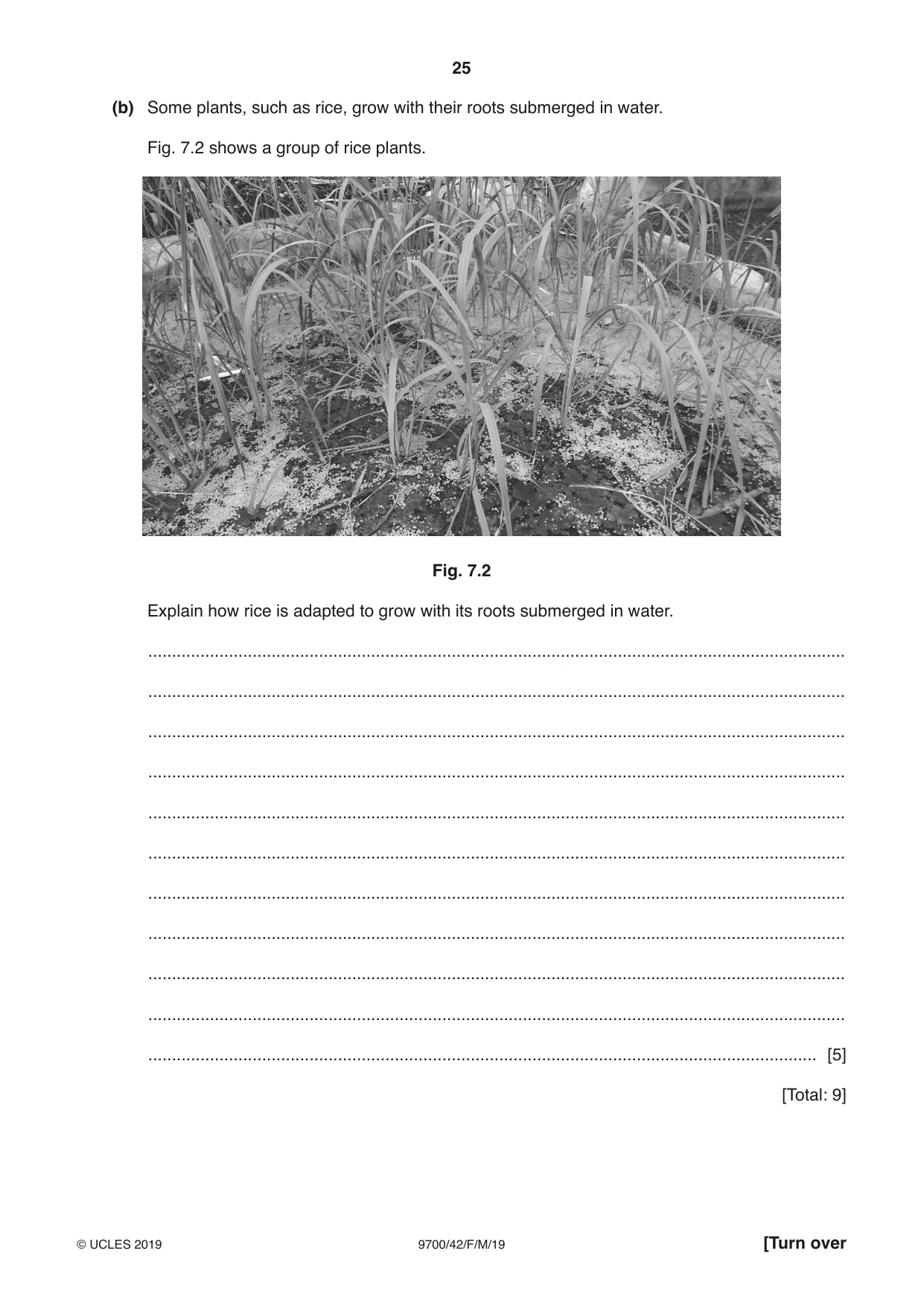 Cambridge A Level Biology 9700 2019 Feb/March Paper 4 · Variant 2 question paper, page 25 of 32