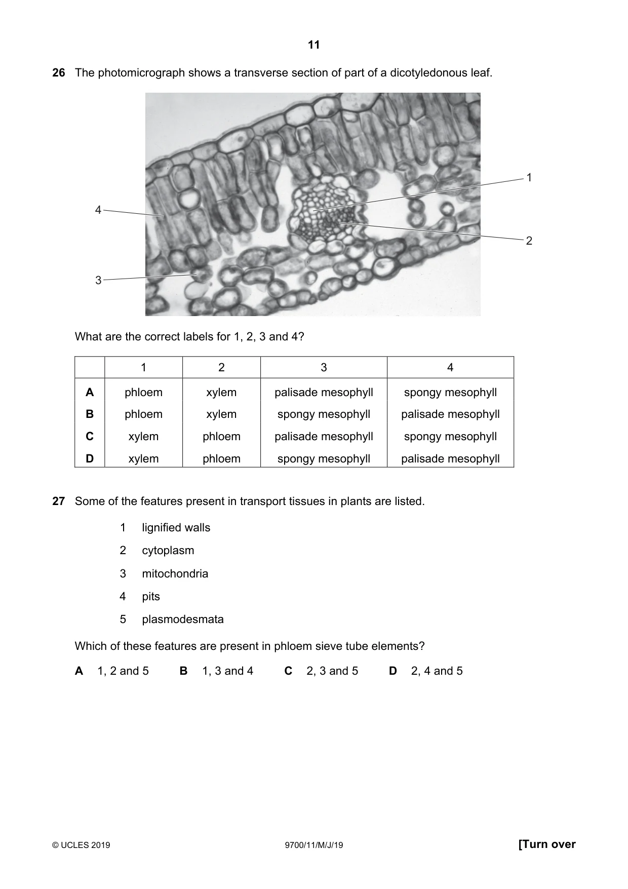 Cambridge A Level Biology 9700 2019 May/June Paper 1 · Variant 1 question paper, page 11 of 16