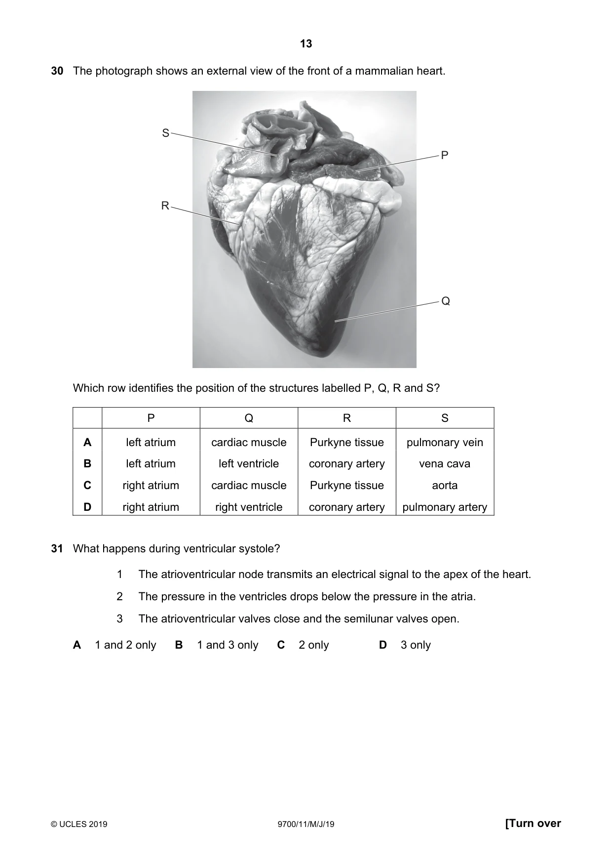 Cambridge A Level Biology 9700 2019 May/June Paper 1 · Variant 1 question paper, page 13 of 16