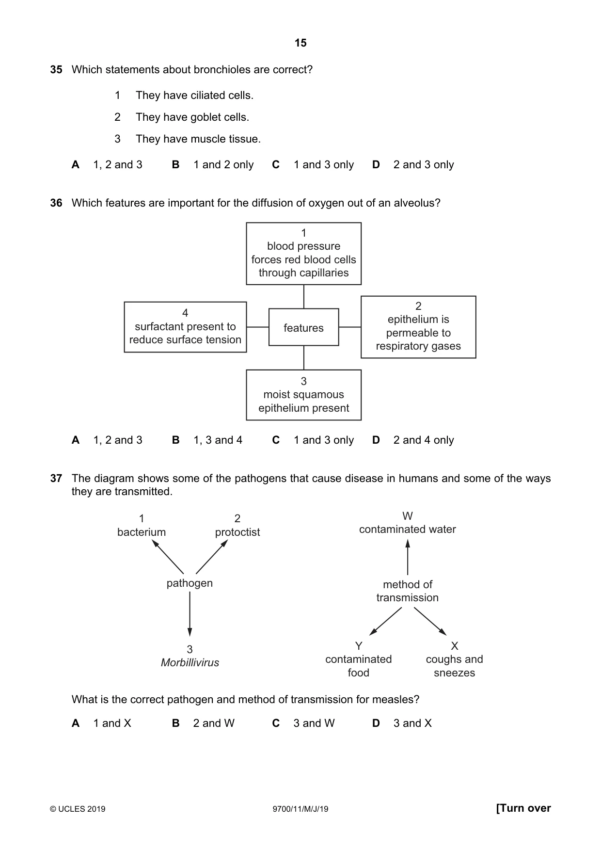 Cambridge A Level Biology 9700 2019 May/June Paper 1 · Variant 1 question paper, page 15 of 16