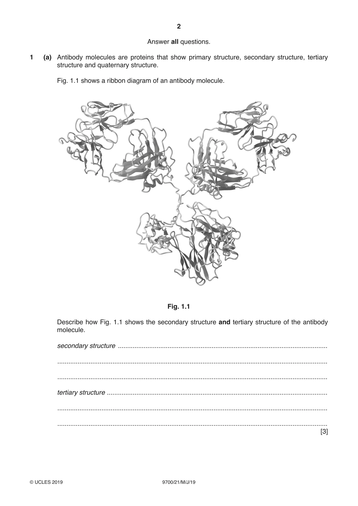 Cambridge A Level Biology 9700 2019 May/June Paper 2 · Variant 1 question paper, page 2 of 16