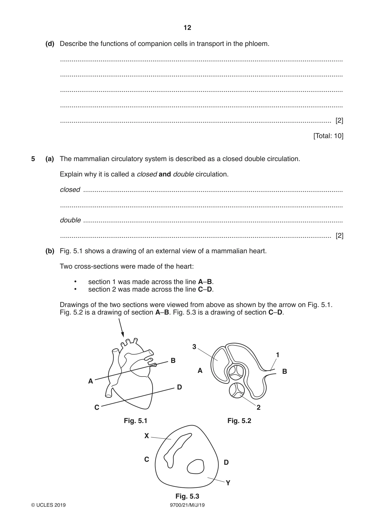 Cambridge A Level Biology 9700 2019 May/June Paper 2 · Variant 1 question paper, page 12 of 16