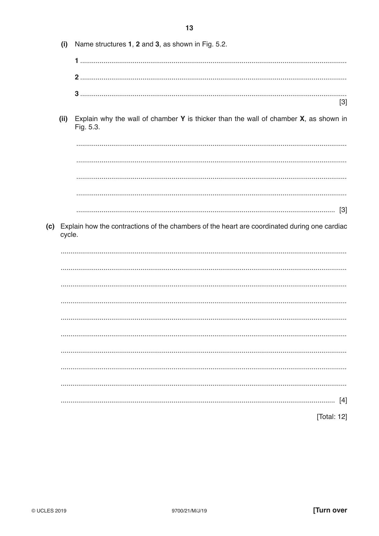 Cambridge A Level Biology 9700 2019 May/June Paper 2 · Variant 1 question paper, page 13 of 16