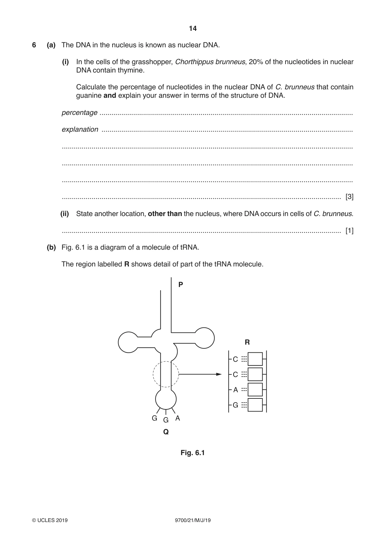 Cambridge A Level Biology 9700 2019 May/June Paper 2 · Variant 1 question paper, page 14 of 16