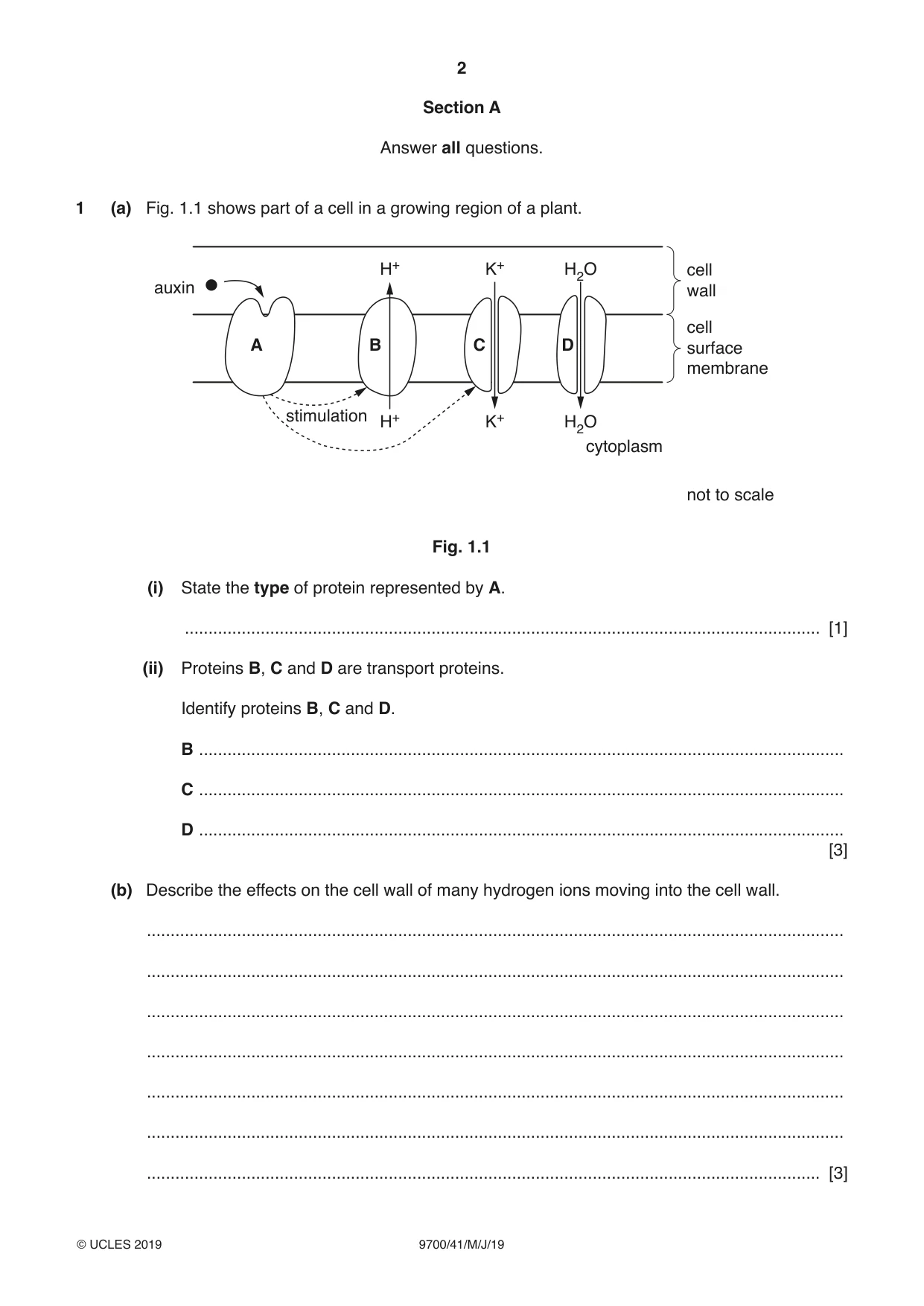 Cambridge A Level Biology 9700 2019 May/June Paper 4 · Variant 1 question paper, page 2 of 24