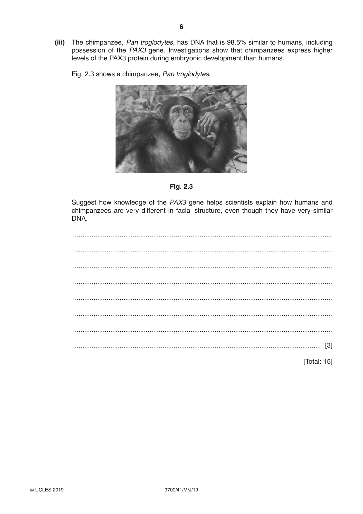Cambridge A Level Biology 9700 2019 May/June Paper 4 · Variant 1 question paper, page 6 of 24