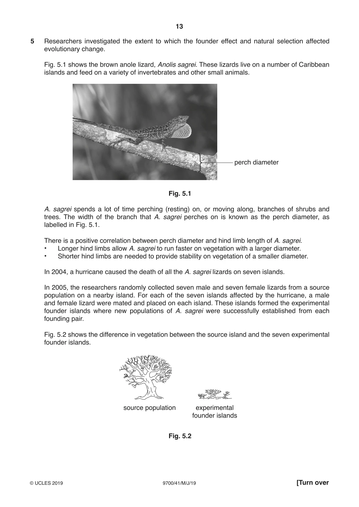Cambridge A Level Biology 9700 2019 May/June Paper 4 · Variant 1 question paper, page 13 of 24